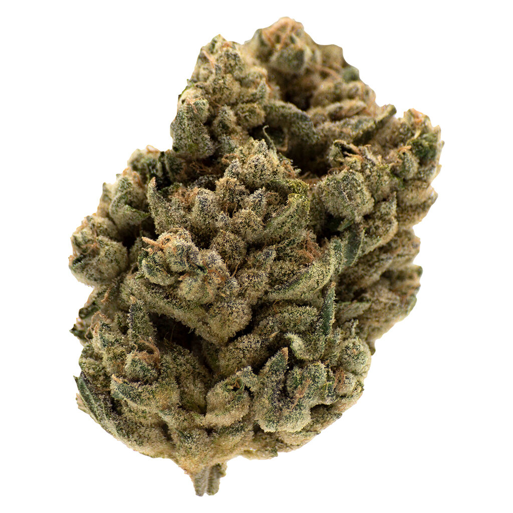 MTL Cannabis : Jungl' Cake