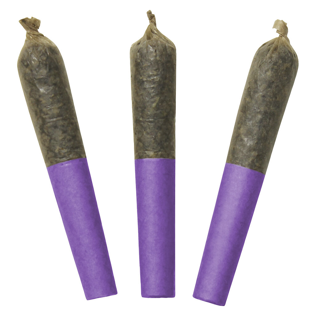 Dab Bods : Motor Breath 60's + DBL Infused Pre-Rolls (3x0.5g)