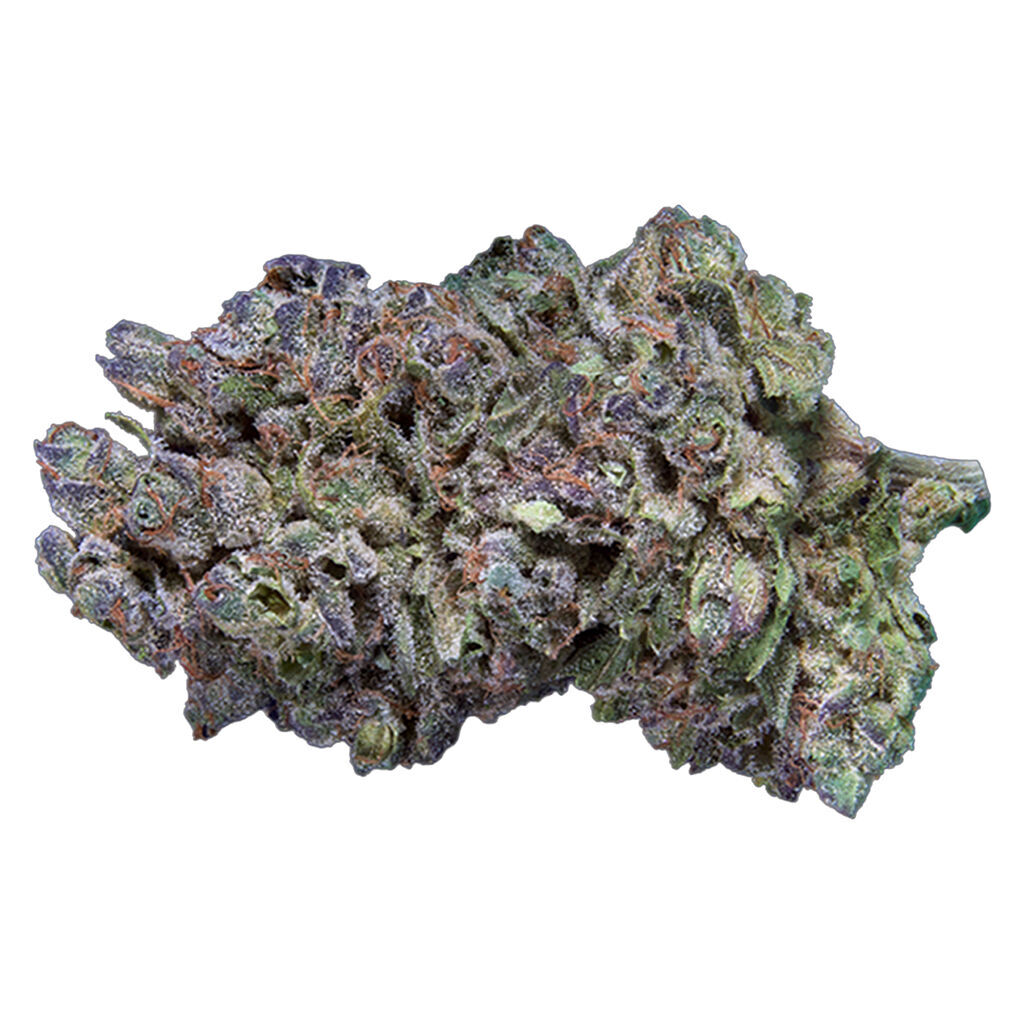 Qwest : Platinum Gas Craft Whole Flower