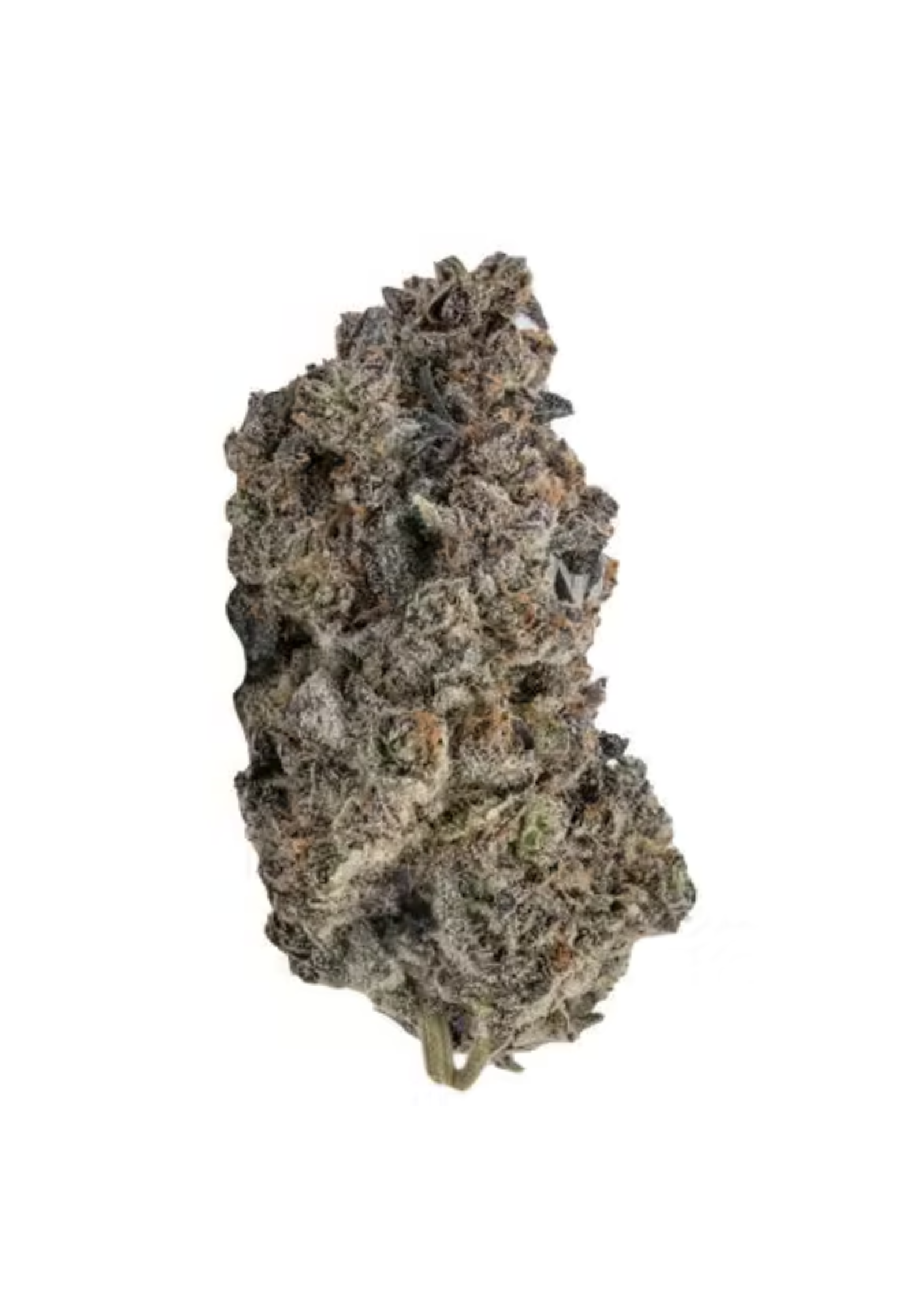Kootenay Quantum : CHAKRA CHRON