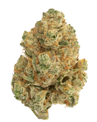 The Loud Plug : Venom OG