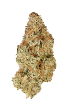Simply Bare : BC Organic Pink Drip LTO