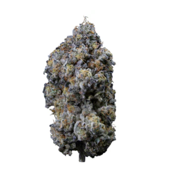 Sweetgrass Organic Cannabis : Pine Mentz Petites