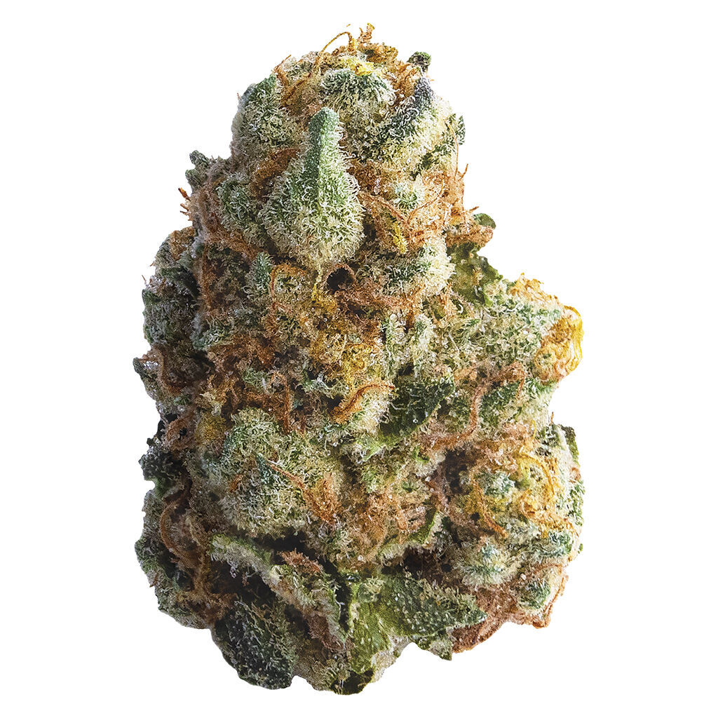 Spinach : GMO Cookies