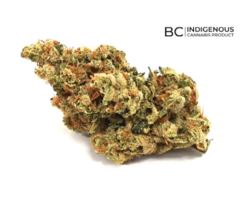 Orchard: Bushels Sativa (Moby Dick)
