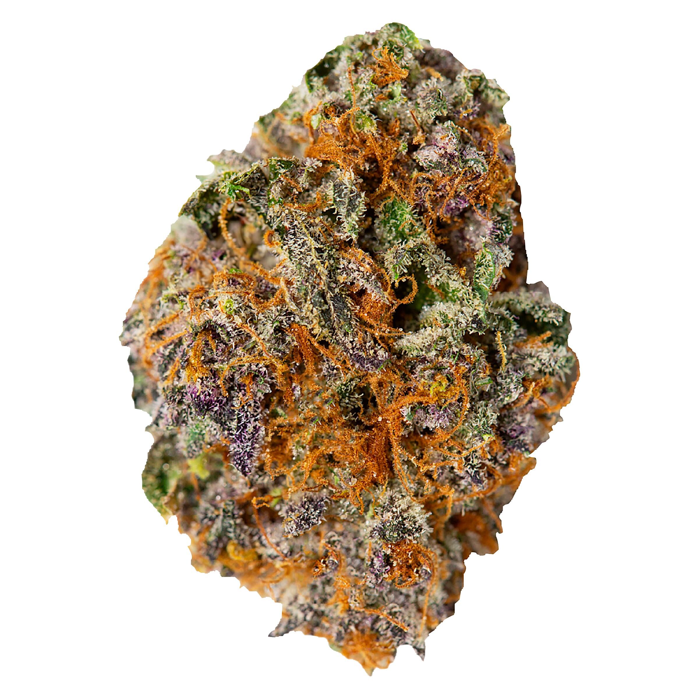Palmetto : Galactic Gas