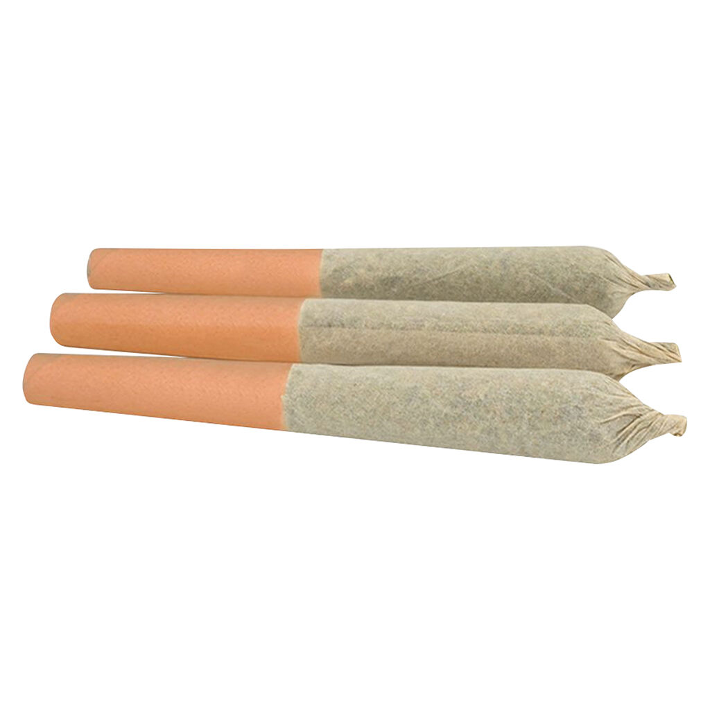 Palmetto - Peach Punch Haze Infused Pre-Rolls - Lemon Margy Flower - Sativa 1.5G