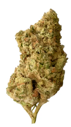 The Loud Plug: Dolce Mia (28g)