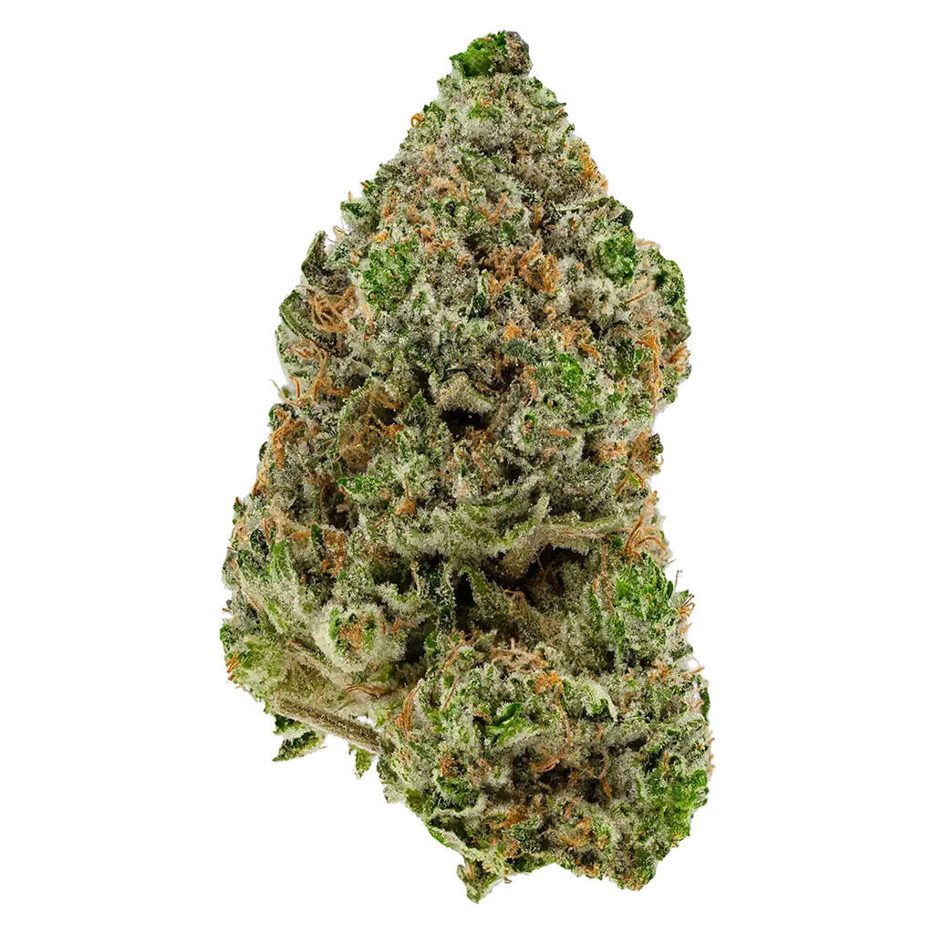 Simply Bare Organic : BC Organic Hibachi Blue LTO