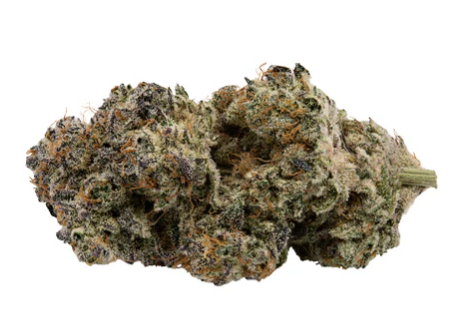 Aroma Cultivation : Wifi Fire