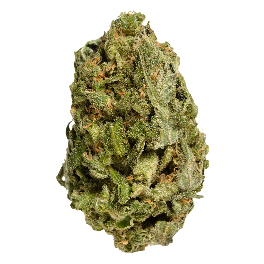 BAKE SALE : ALL PURPOSE FLOWER SATIVA