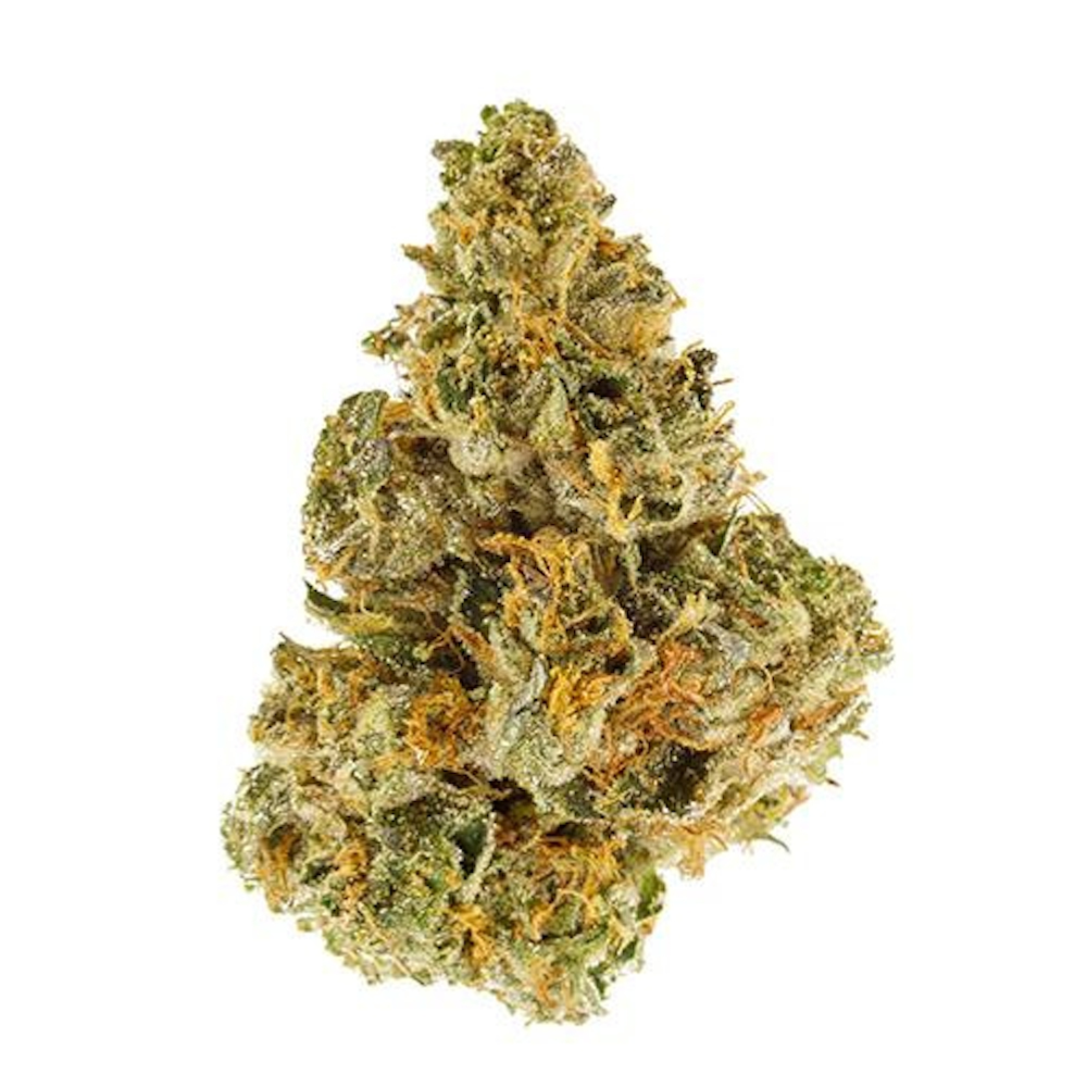 WHISTLER CANNABIS CO : ORGANIC BC ROCKSTAR