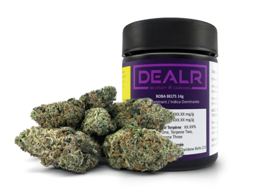 Dealr - Boba Belts