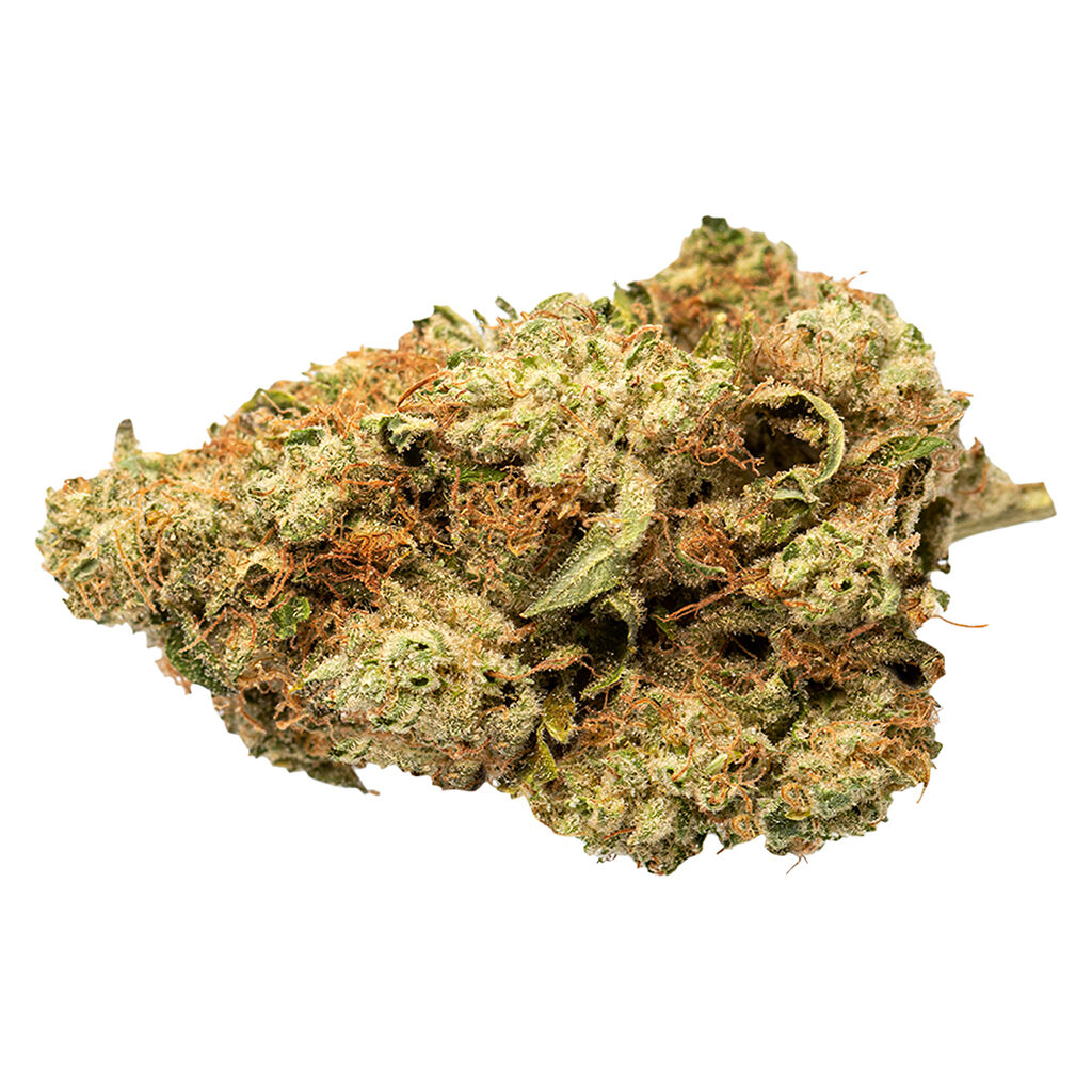GRASSLANDS : INDICA