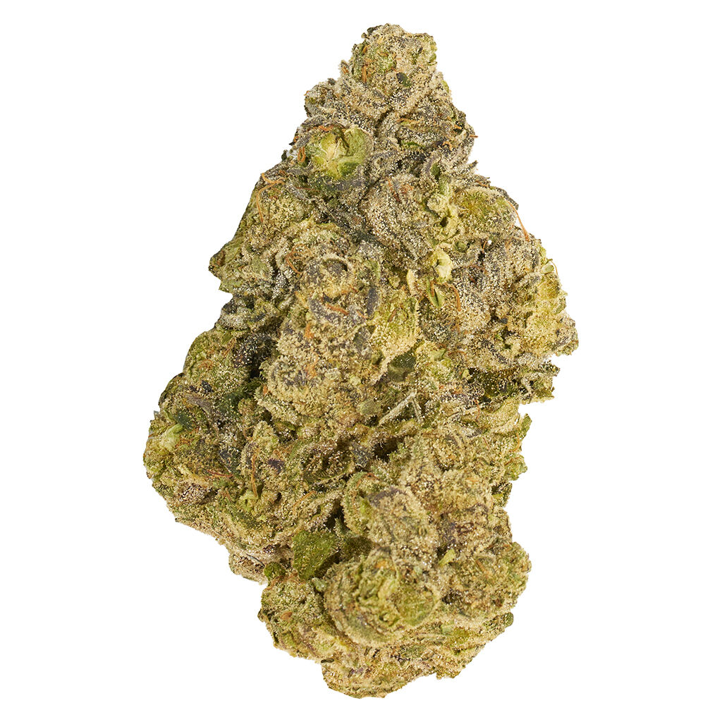 Broken Coast : Cherry Ztripez