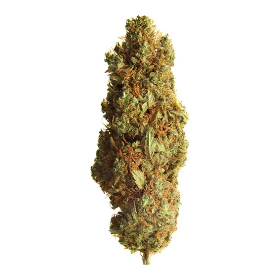 Simply Bare : BC ORGANIC CREEK CONGO