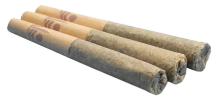 All Nations : El Chivo Pre-Rolls (3pk)