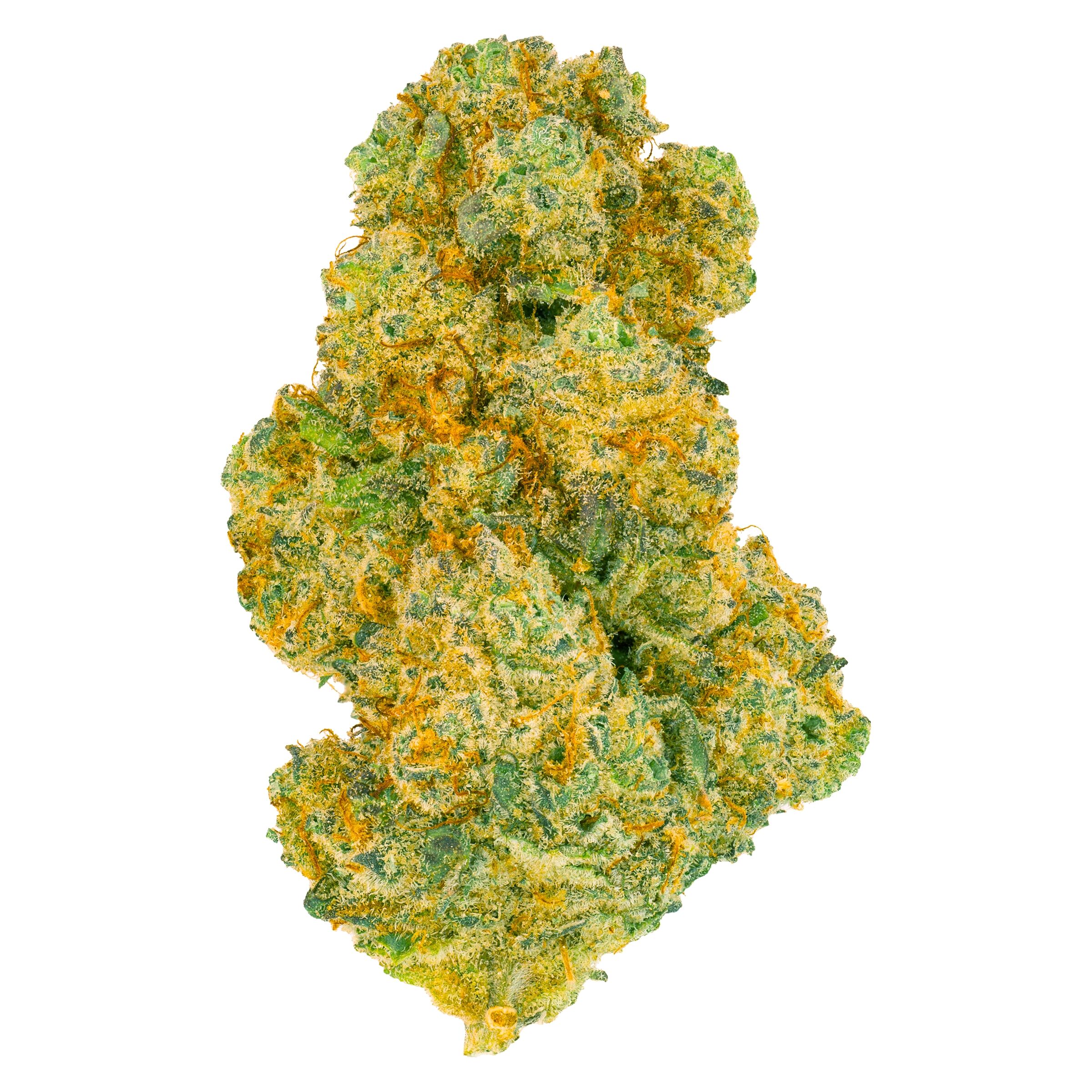 San Rafael '71 - Black Jelly - 14G