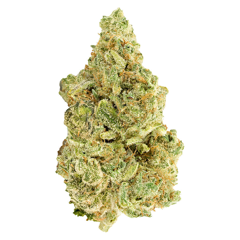 Versus : White Widow