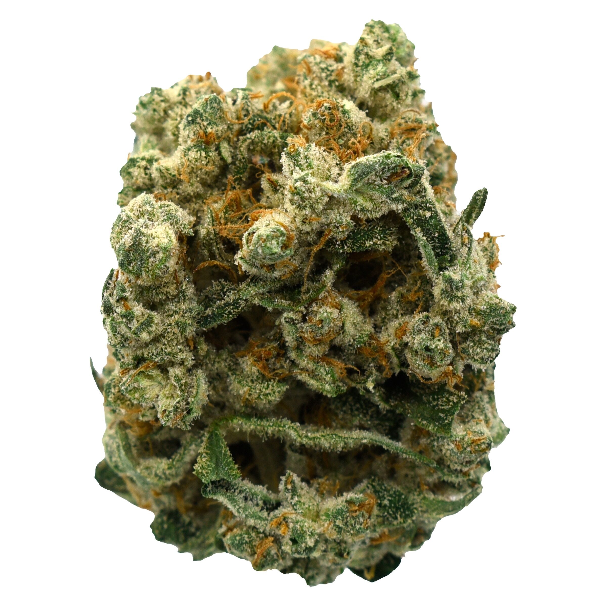 Color Cannabis : Ghost Train Haze