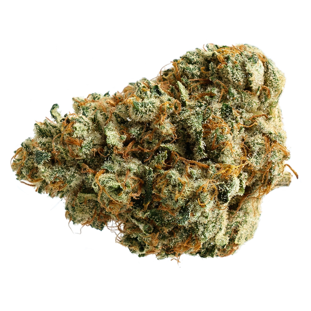 Pure Sunfarms : GINGER DAWG