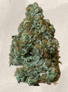 Island Genetics: Kool Grapes Smalls (3.5g)