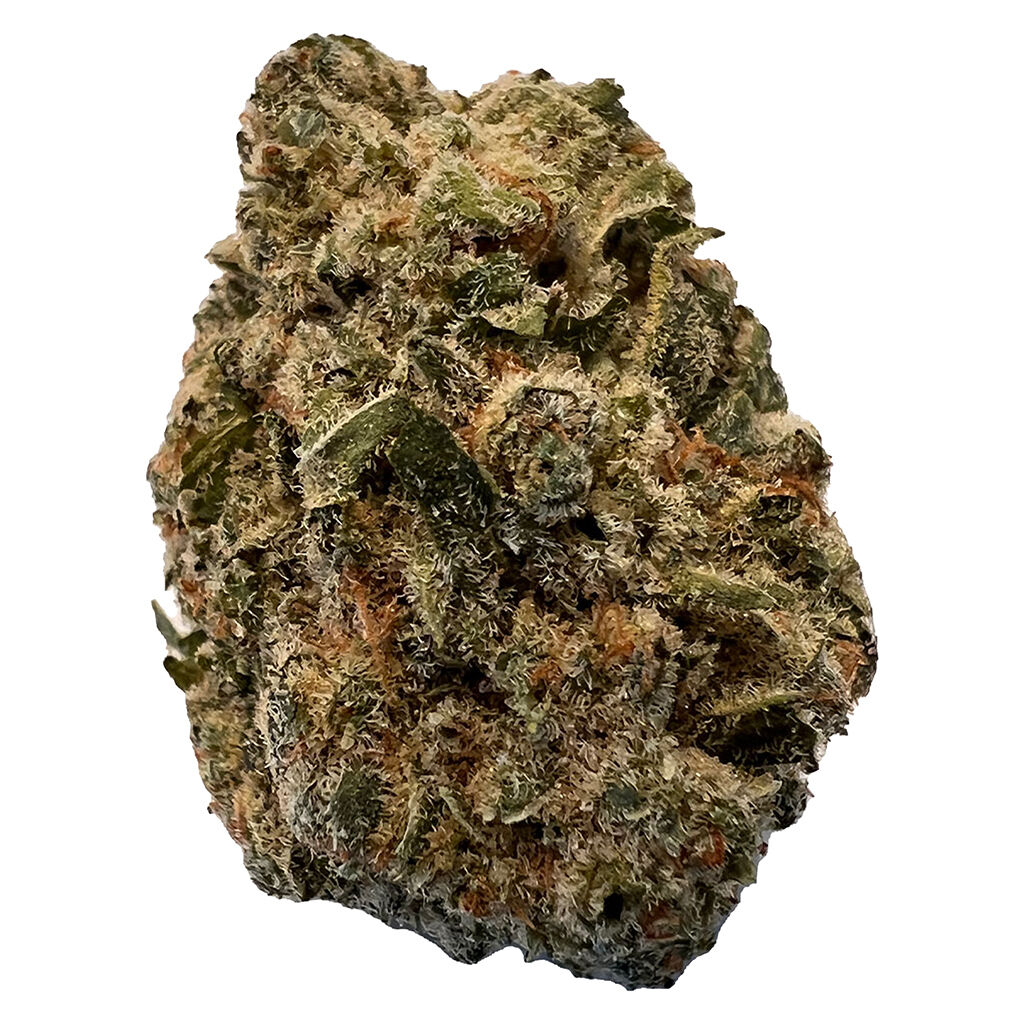 Versus - Bc Purple Kush 28 G -  Indica 28G