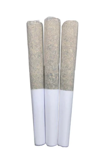 Shucanna : Bermuda Triangle Pre-Rolls (3pk)