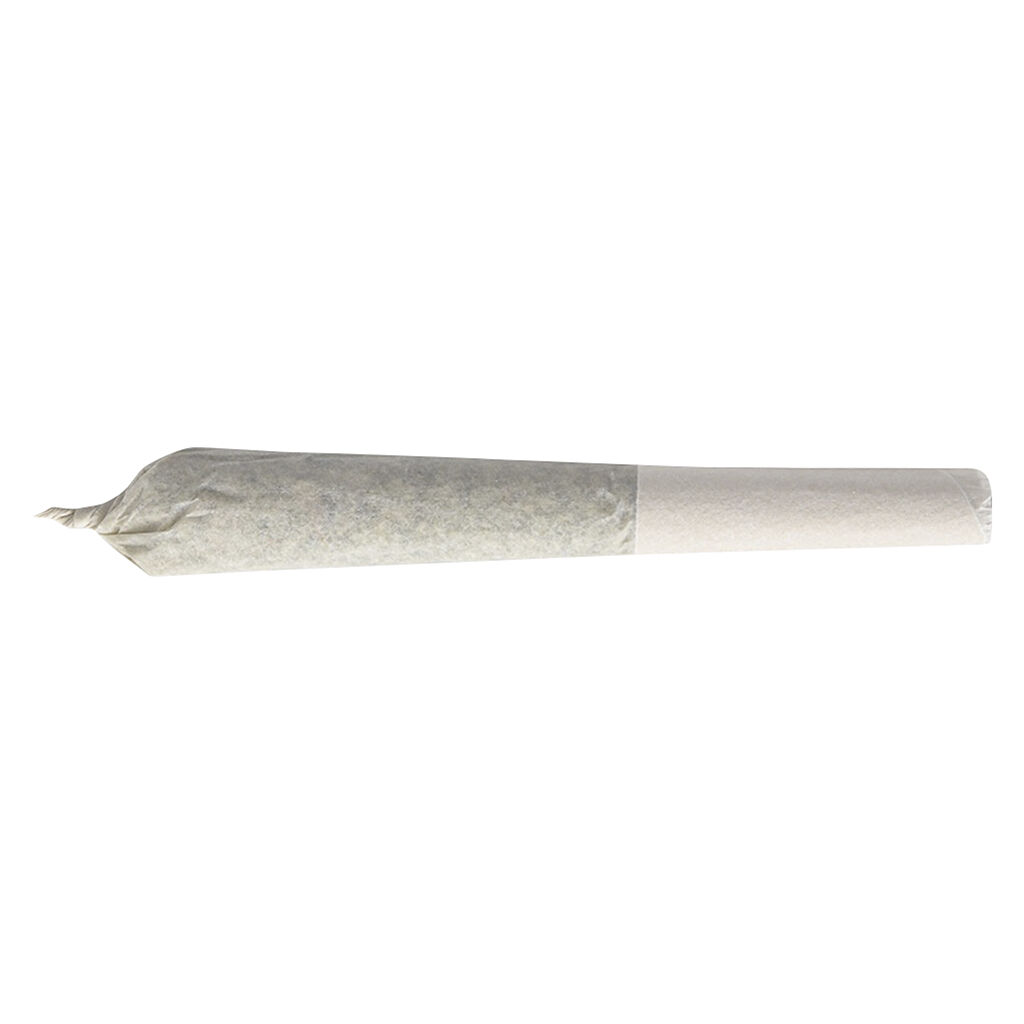Pineapple Buds : PURPLE G*SHERS CRAFT ROLLS - PURPLE G*SHERS CRAFT ROLLS (10x0.5g)