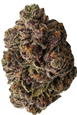 Cappellano Co. : Organic Nonna Red