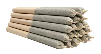 The Original Fraser Valley Weed Co. : Big Red Sativa Pre-Rolls (20pk)