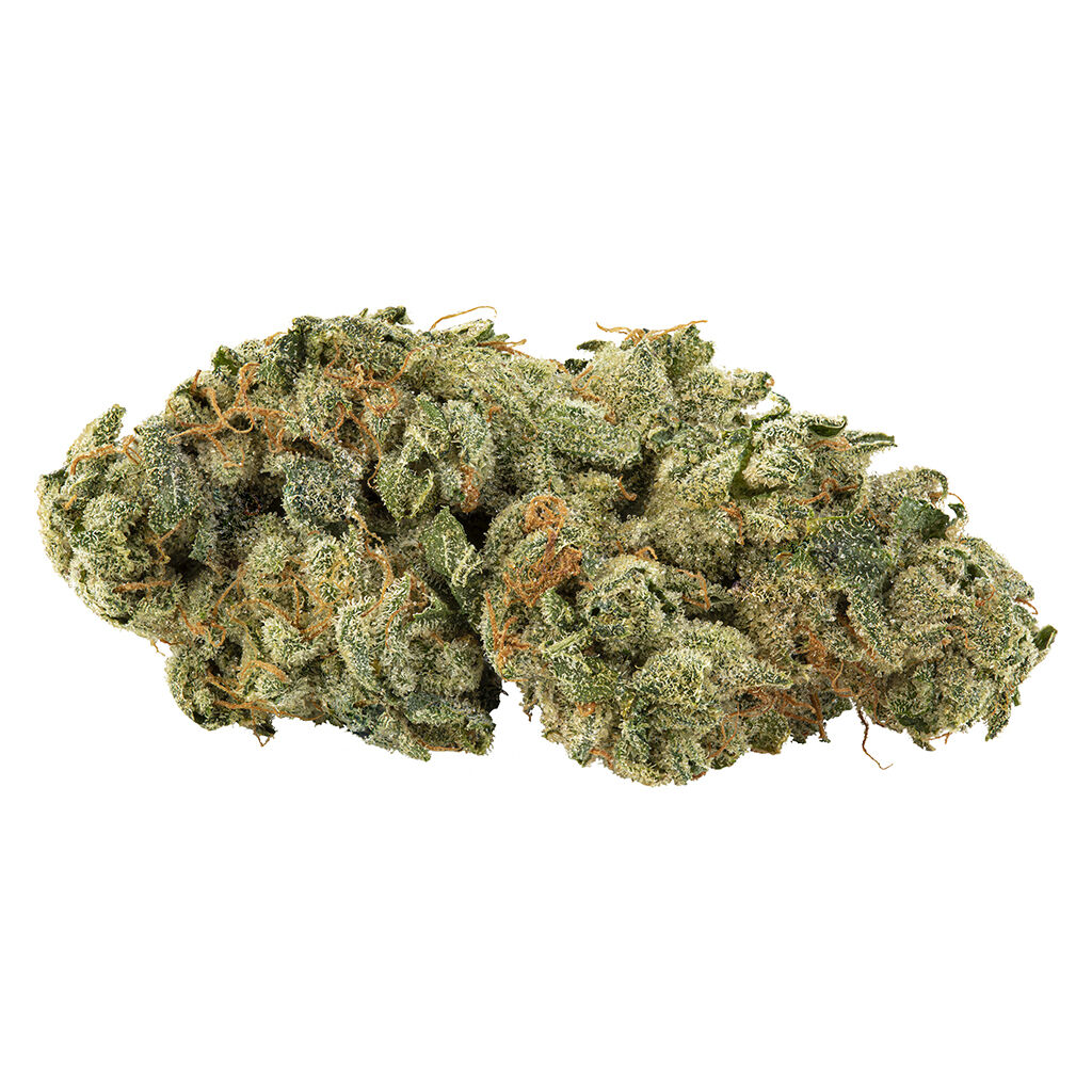 Holy Mountain - Gmo Tropical Reign - 28G