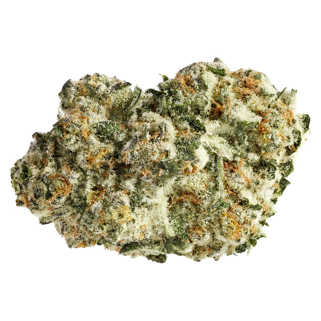 PURE SUNFARMS : AREA 51