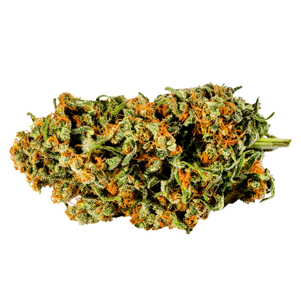 Redecan - Warlock - Hybrid 28G