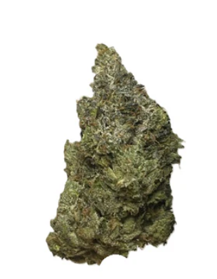 Salt Spring Magic : Salty Pink (Pink Kush)