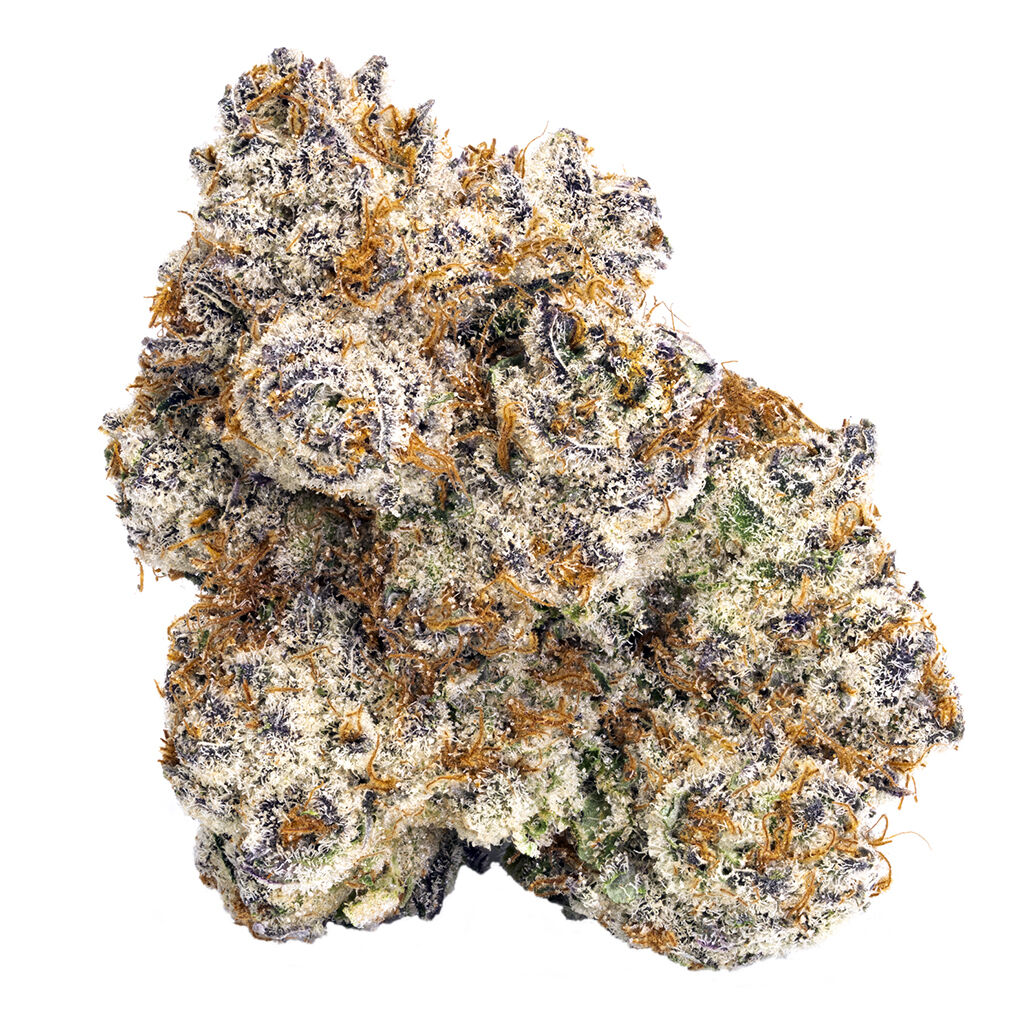 BLKMKT : PURPLE RAIN