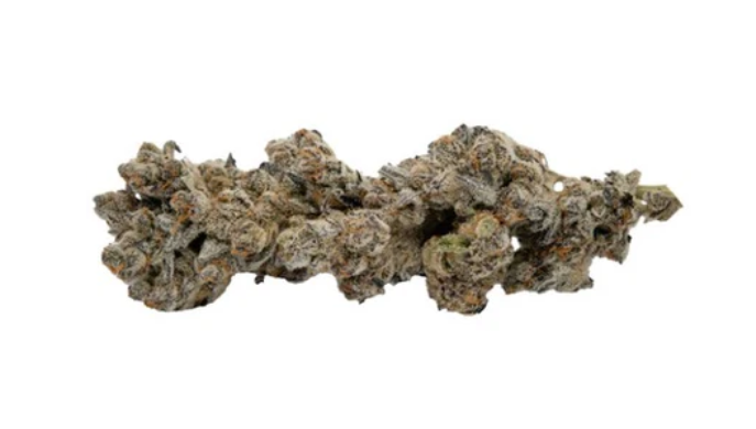 Koots Canna : Moon Burst