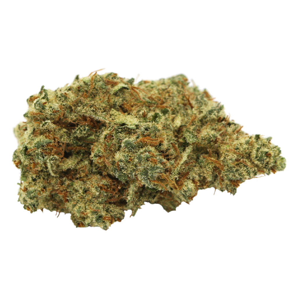 WILDLIFE : BLACKBERRY GELATO  (3.5g)