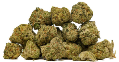 Tobagrown : Toba's Banana Pie