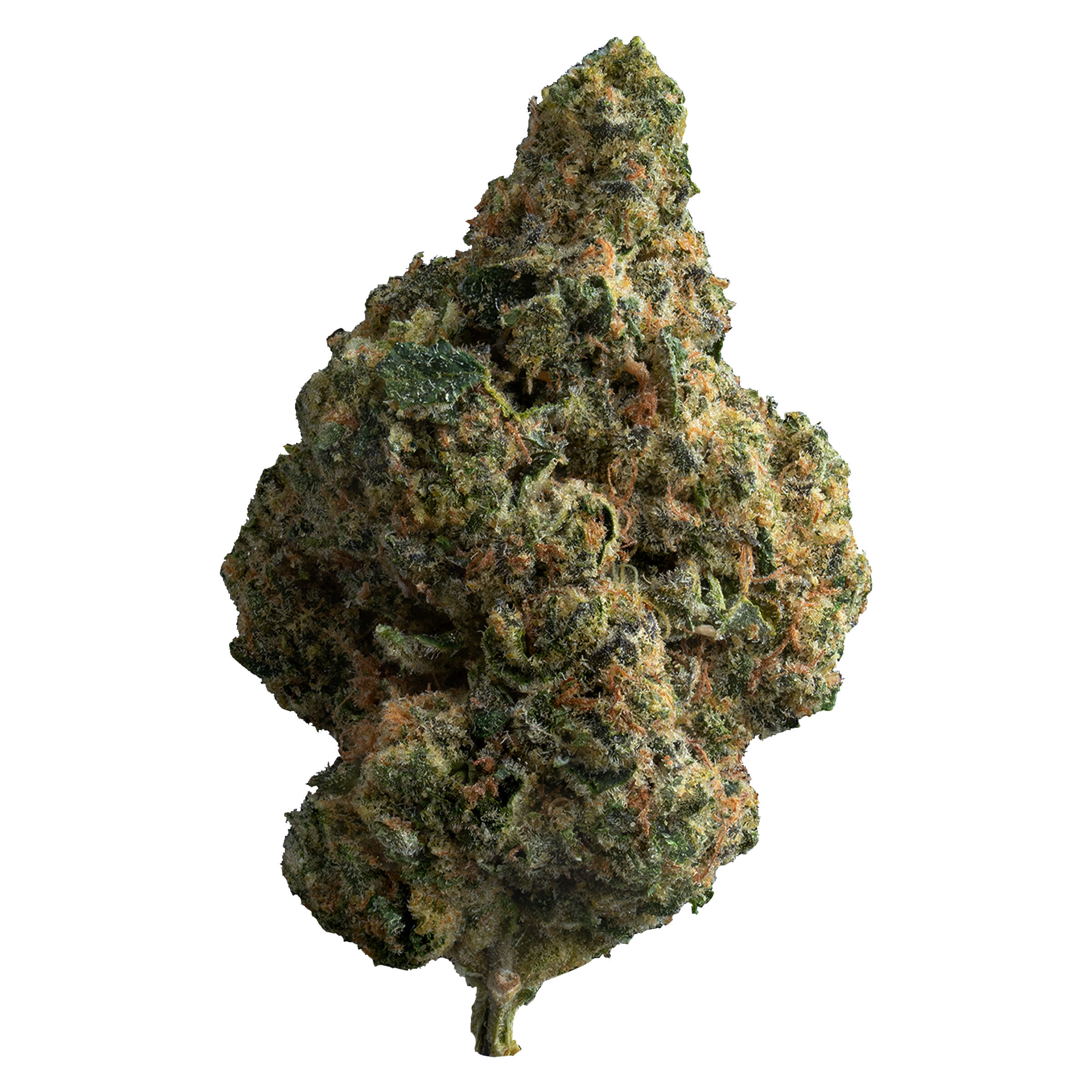The Loud Plug : Exotic Gas
