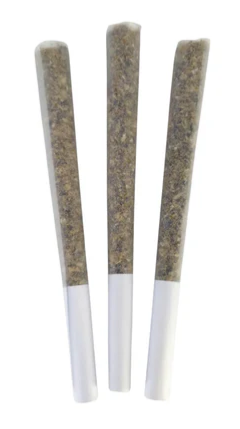 Bc Doobies - Sin N' Juice Pre-Rolls - Bc Doobies : Sin N' Juice Pre-Rolls (3x0.5g)