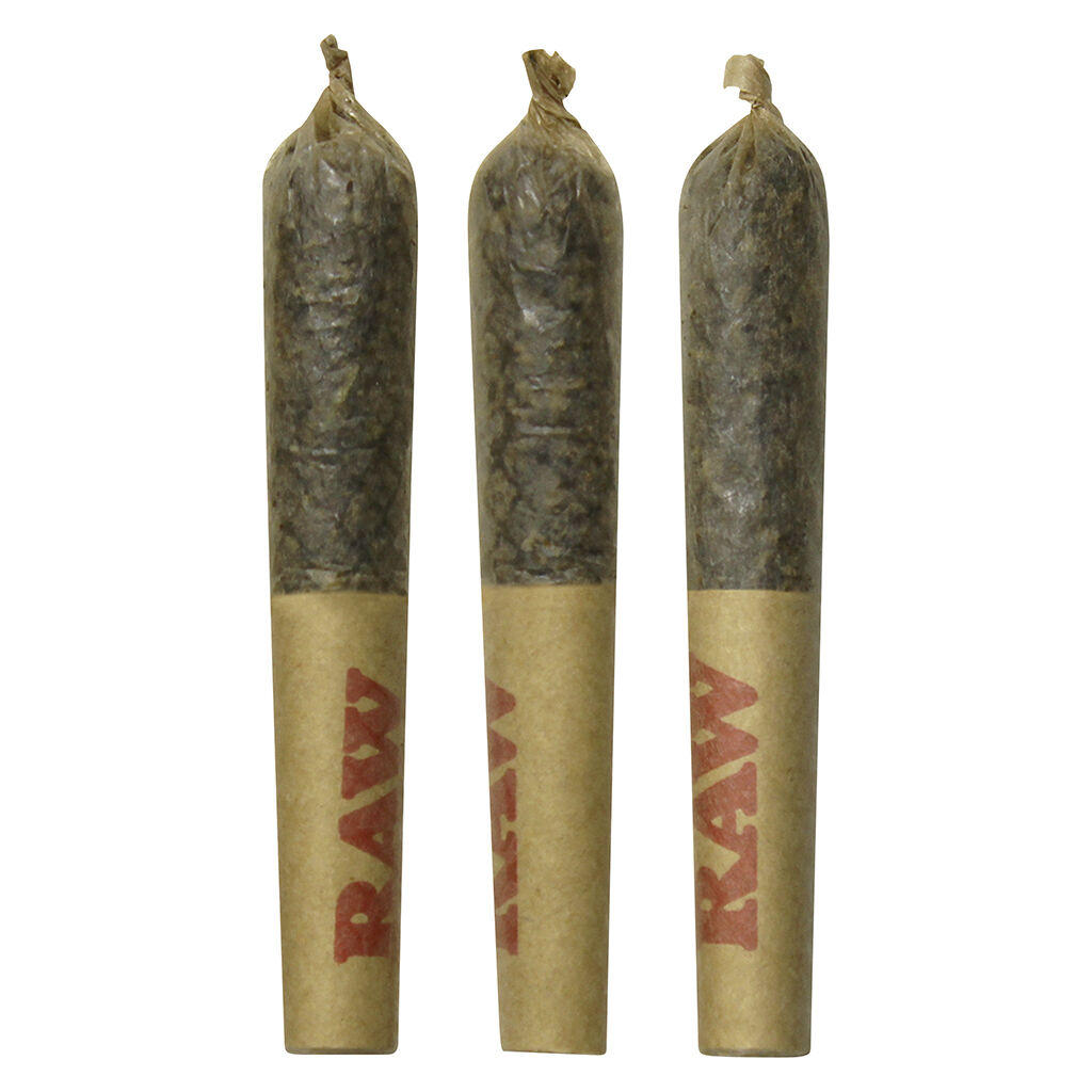 Dab Bods : Widows Blood Disti Infused Joints (3pk)
