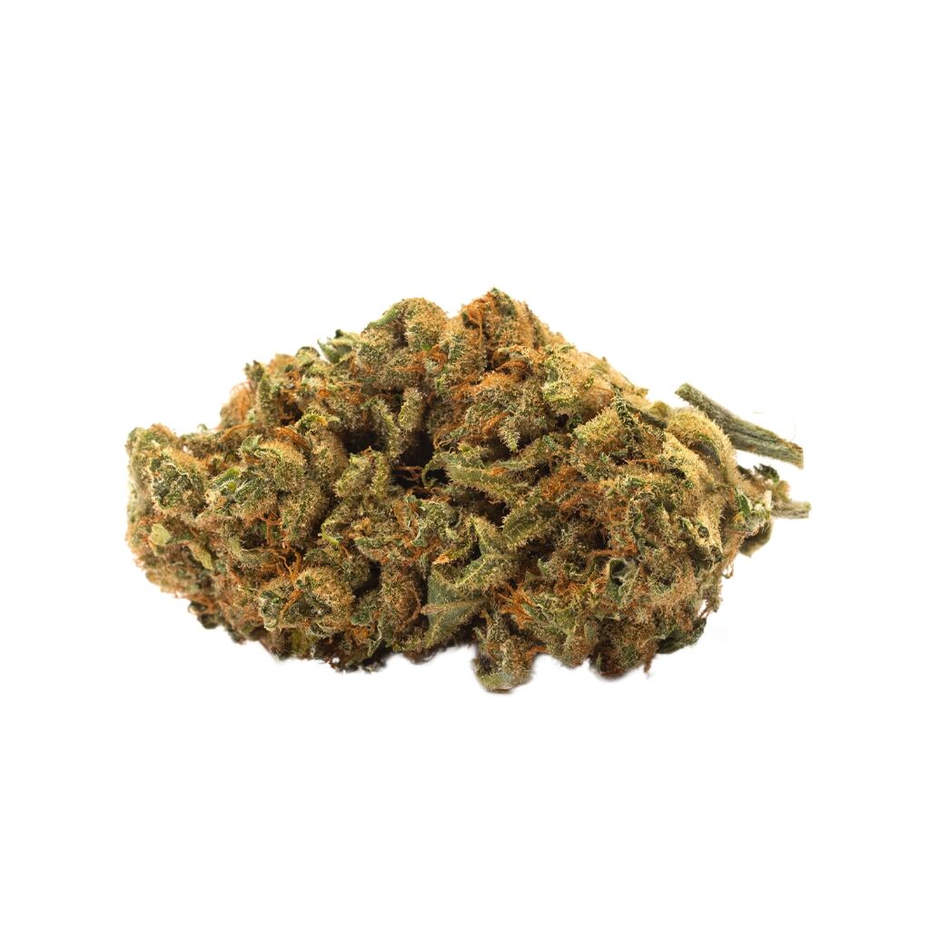 TWD : TWD INDICA