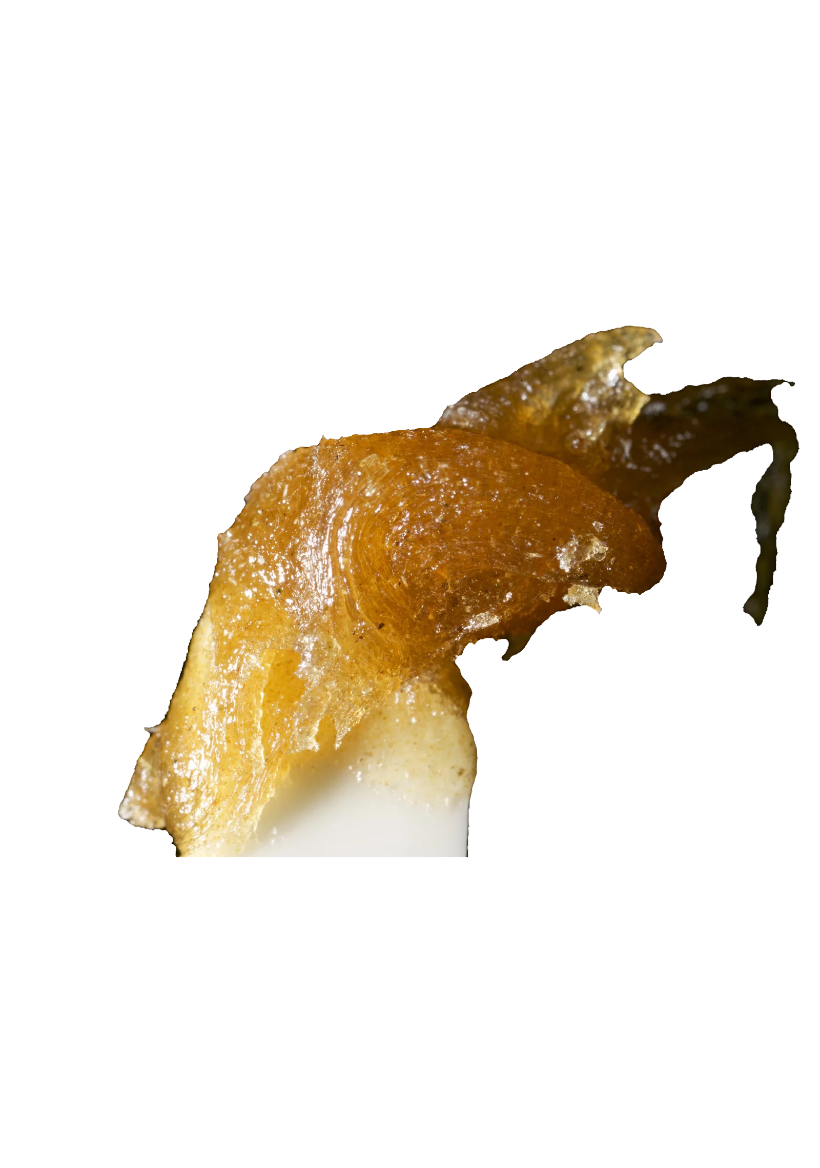 EarthWolf Farms : NORTHERN APPLE JAXX FULL MELT - NORTHERN APPLE JAXX FULL MELT (1G)