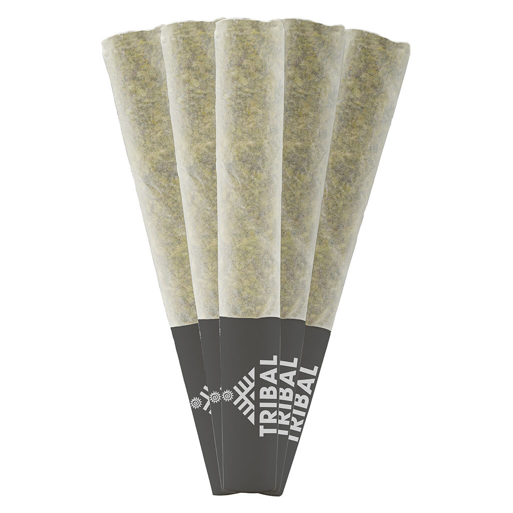 Tribal : Gran Turismo Pre-Rolls (5pk)