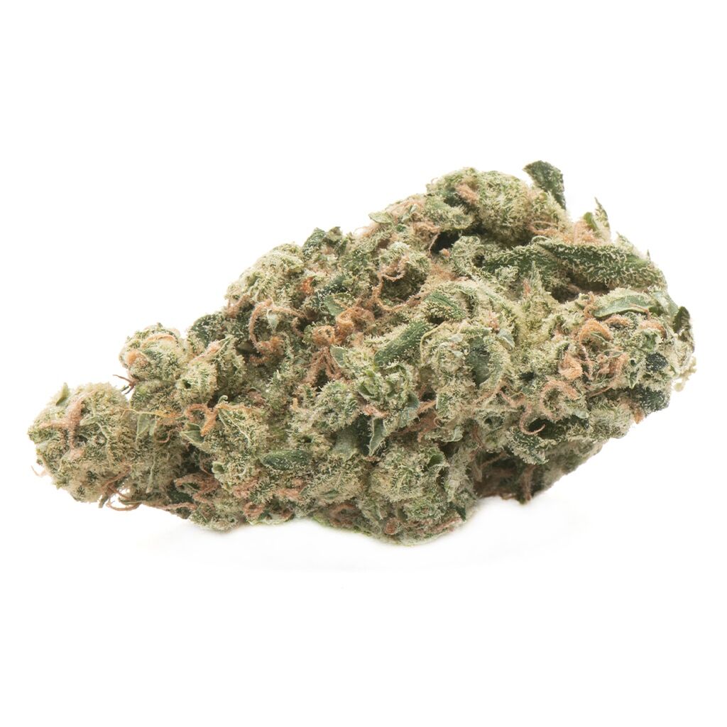 Namaste : ULTRA SOUR
