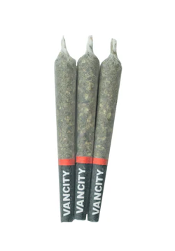 Vancity® Cannabis : Reserve Indica Pre-Rolls (3pk)