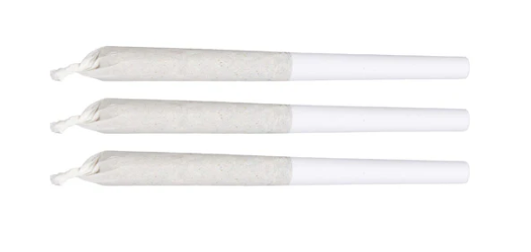 Good Supply - Summer Haze Pre-Rolls - Good Supply : Summer Haze Pre-Rolls (3x.5g)