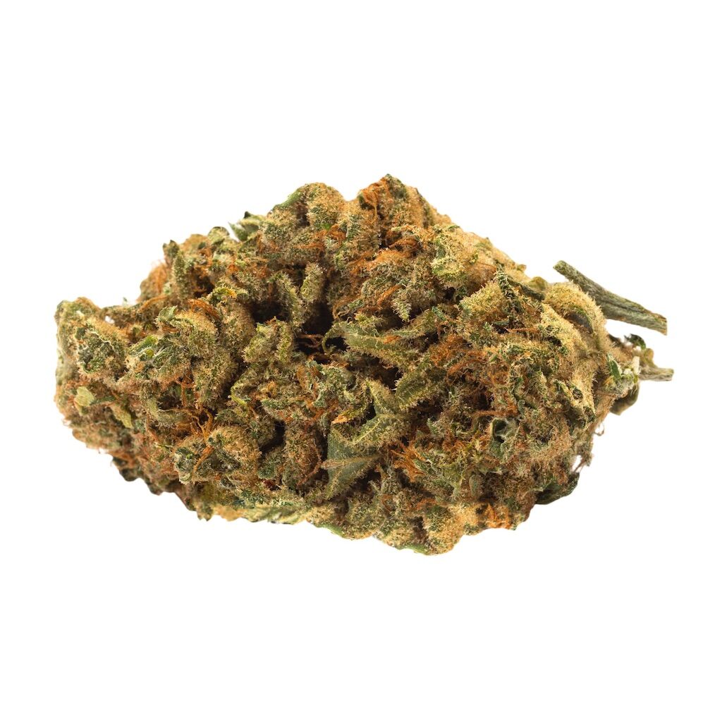 Simple Stash - Simple Stash Indica -  Indica 5G