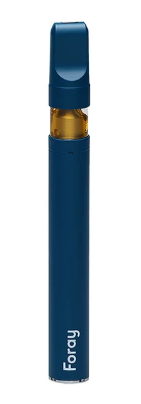 Foray : Balanced Disposable Pen